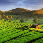 Paket Tour Jakarta Bandung 2 Hari 1 Malam